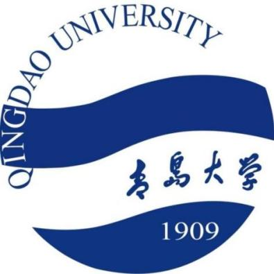 真正的青岛大学校徽在此.png