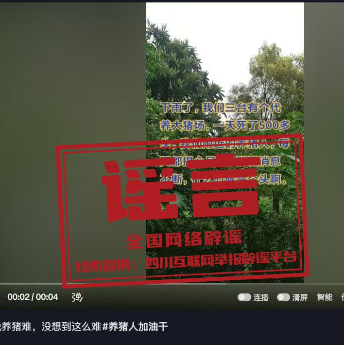 “四川绵阳一养猪场一天死亡500头猪”不实.png