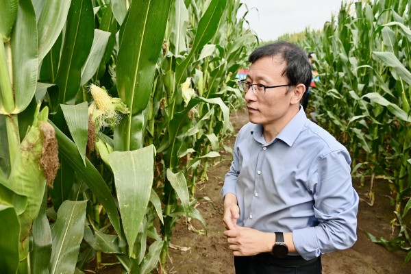 王磊.jpg 王磊.jpg