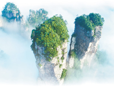 1554577480703_1.jpg 1554577480703_1.jpg