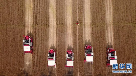 11736369635125399032.jpg 11736369635125399032.jpg